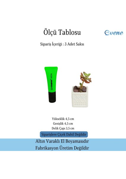 Mini Çiçek Saksı Küçük Sukulent Kaktüs Saksısı 3'lü Set Mini Kare Model