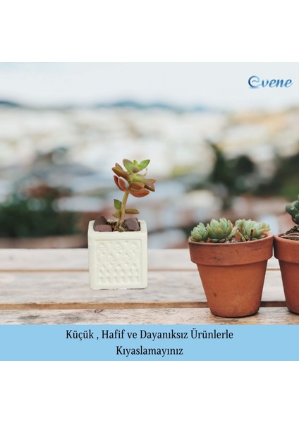 Mini Çiçek Saksı Küçük Sukulent Kaktüs Saksısı 3'lü Set Mini Kare Model