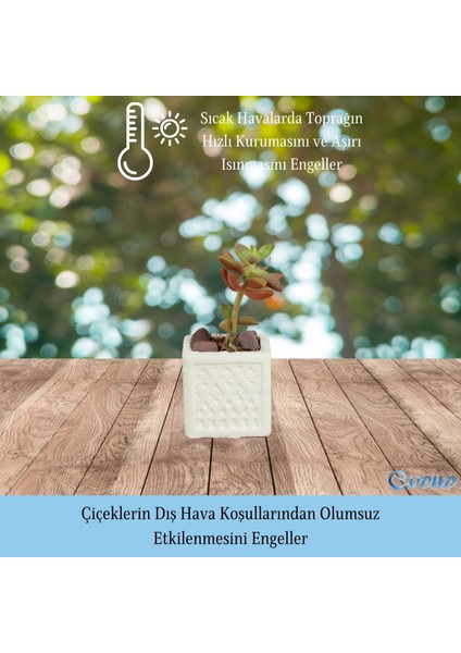 Mini Çiçek Saksı Küçük Sukulent Kaktüs Saksısı 3'lü Set Mini Kare Model
