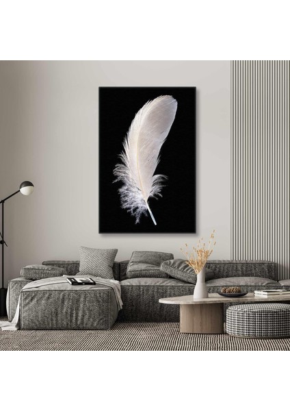 Kuş Tüyü Türleri Bird Feather Dekor Kanvas Tablo