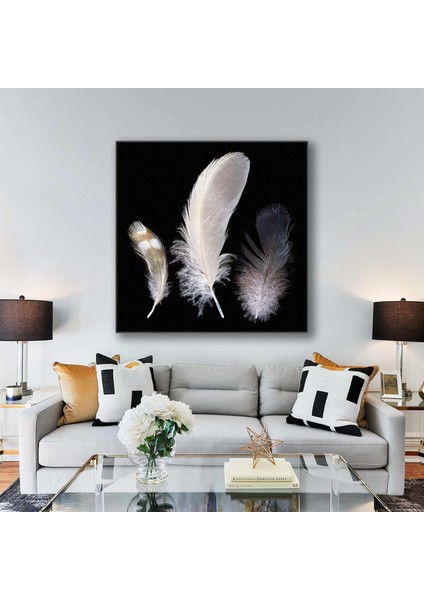 Kuş Tüyü Türleri Bird Feather Dekor Kanvas Tablo