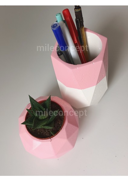 Masaüstü Dekoratif Beton Kalemlik, Saksı, Sukulent/kaktüs, Notluk ve Ayıcık Seti fırsatları
