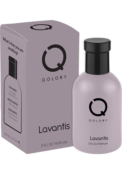 Lavantis Eau De Perfume 100 ml Unisex Edp Parfüm