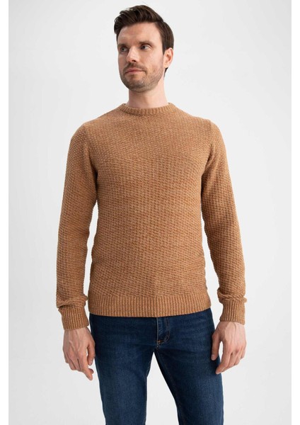 Regular Fit Bisiklet Yaka Triko Kazak R1175AZ22WN