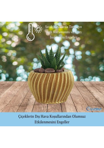 Mini Çiçek Saksı Küçük Sukulent Kaktüs Saksısı 3'lü Set Derin Çizgili Spiral Model