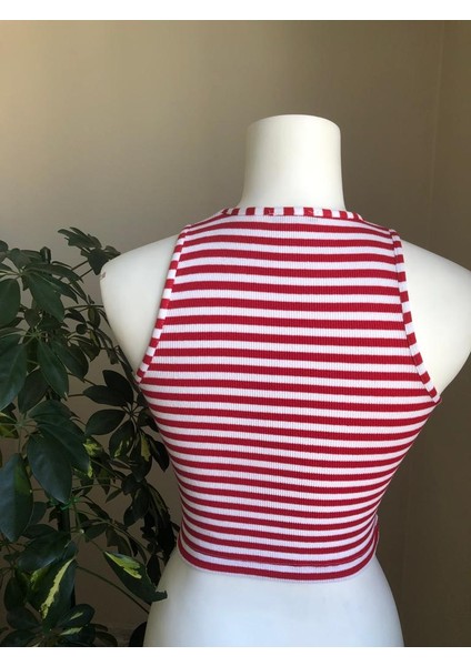 Sıfır Yaka Crop fırsatları
