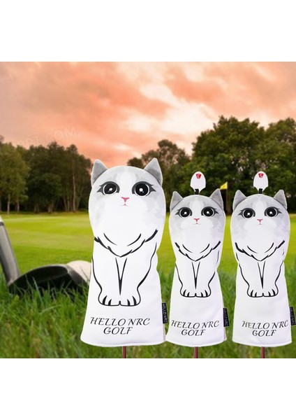 Golf Antrenman Ekipmanı (Yurt Dışından) modelleri