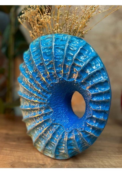 Deniz Kabuğu Testi Obje fiyatları