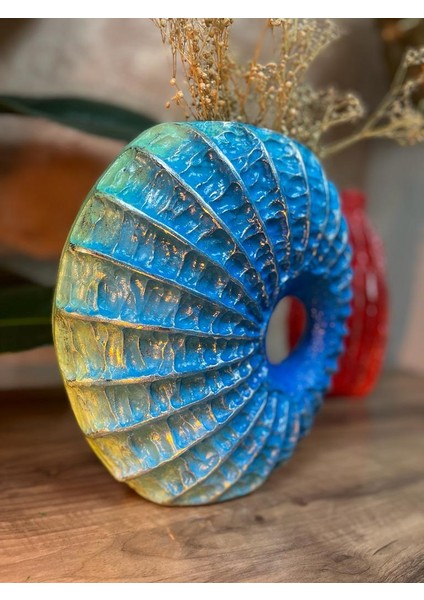 Deniz Kabuğu Testi Obje fırsatları