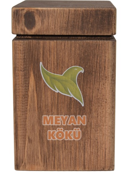 Meyan Kökü