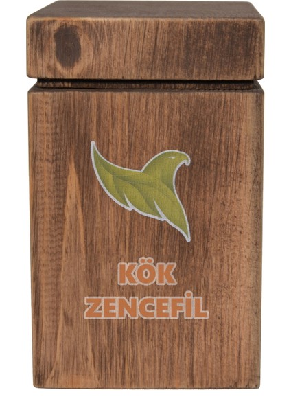 Kök Zencefil