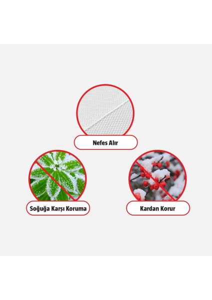 Saksılı ve Bahçe Bitkiler Için Koruma Örtüsü 2,40 x 2 M