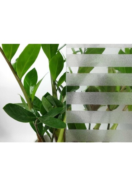 Çizilmez Cam Kumlama Dekoratif Çizgili Cam Folyosu fiyatları