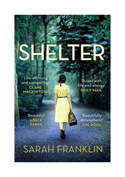 Shelter: ‘one Of The Year's Hottest Debuts’