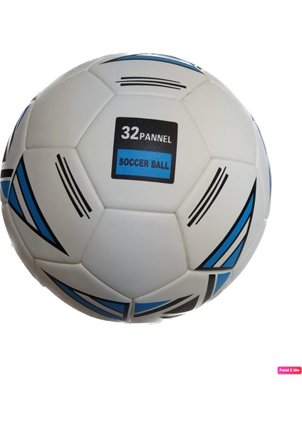 Zilli Futbol Topu Görme Engelliler Için 500 gr 32 Panel Tüm Hava Koşullarına Uygun No:5 + Pompa