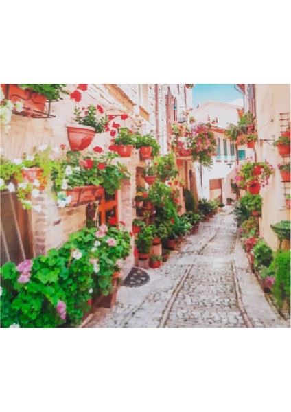 5d Elmas Taş Işleme Kiti 30X40 cm Taş Sokak Desen fiyatları
