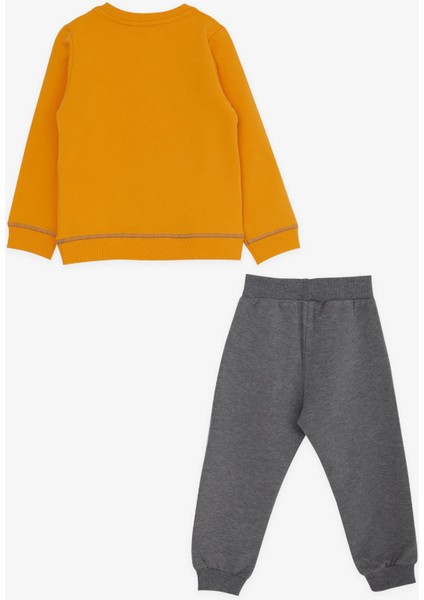 Erkek Çocuk Eşofman Takımı Dinozor Baskılı 1.5-5 Yaş, Hardal Sarı fiyatları