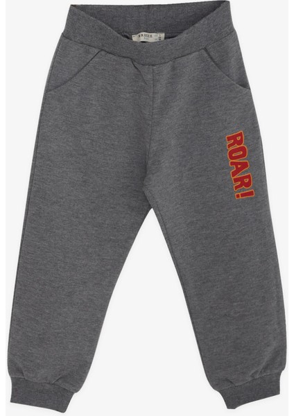 Erkek Çocuk Eşofman Takımı Dinozor Baskılı 1.5-5 Yaş, Hardal Sarı fırsatları