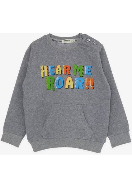 Erkek Çocuk Eşofman Takımı Renkli Slogan Baskılı 1-4 Yaş, Gri modelleri