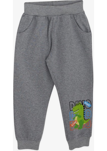 Erkek Çocuk Eşofman Takımı Renkli Slogan Baskılı 1-4 Yaş, Gri fırsatları