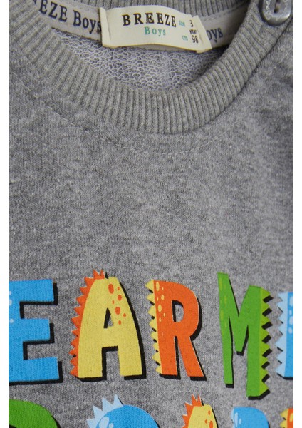 Erkek Çocuk Eşofman Takımı Renkli Slogan Baskılı 1-4 Yaş, Gri indirimleri