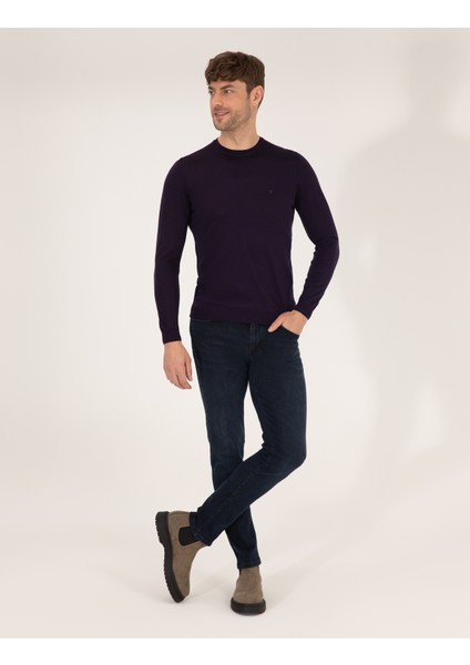 Pierre Cardin Erkek Mor Slim Fit Bisiklet Yaka Yün Karışımlı Basic Triko Kazak 50257301-VR038