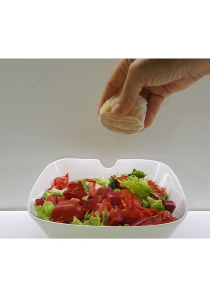 Limon Bonesi Çekirdeksiz Limon Keyfi 100 Adet fiyatları
