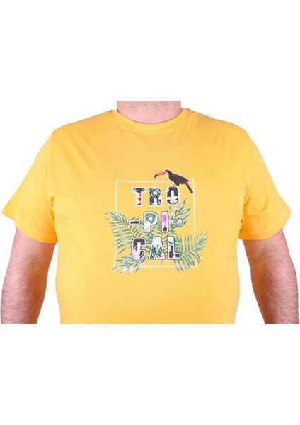 Büyük Beden Sıfır Yaka Tişört Tropical 23114 Sarı modelleri