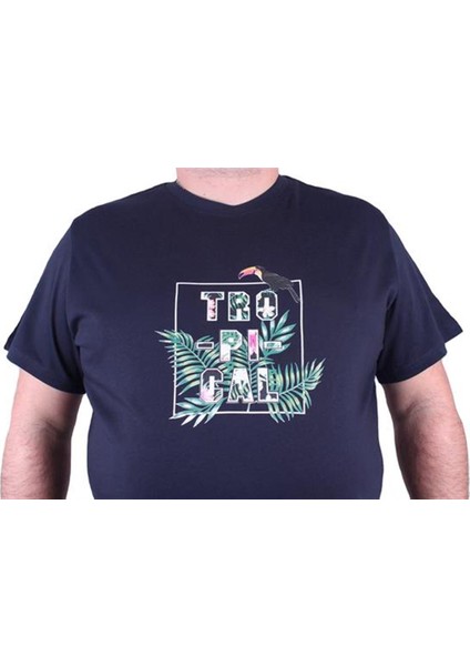 Büyük Beden Erkek Sıfır Yaka Tişört modelleri