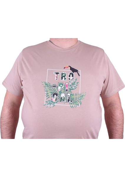 Büyük Beden Sıfır Yaka Tişört Tropical 23114 Bej modelleri