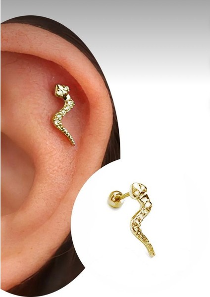 Çelik Yılan Model Gold Kıkırdak Helix Tragus Piercing