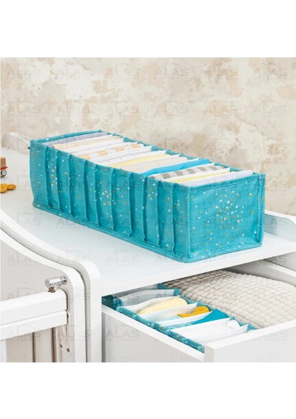 Baby Akordiyon Düzenleyici Medium Mavi