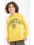 Erkek Çocuk Regular Fit Kapüşonlu Sweatshirt Z4596A623SP 3