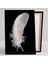 Kuş Tüyü Türleri Bird Feather Dekor Kanvas Tablo 2