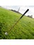 Golf Antrenman Ekipmanı (Yurt Dışından) 5