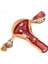 Uterus Pelvik Taban Maketi Model 41 1