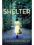 Shelter: ‘one Of The Year's Hottest Debuts’ 1