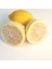 Limon Bonesi / 250 Adet / Bitki Çayı Bonesi 1