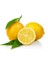 Limon Bonesi / 10 Adet / Bitki Çayı Bonesi 2