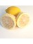 Limon Bonesi Çekirdeksiz Limon Keyfi 100 Adet 1