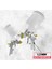 50 Litre Hava Kompresörü 2hp 8bar 15MT Spiral Hortum Havatabancası- Jakları Full- Fırsat Paket 3