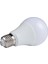 LED Ampül 9 W E27 Duy Günışığı Renk 20 Adet 1