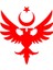 Anadolu Selçuklu Çift Başlı Kartalı Ay Yıldız Beyaz Sticker 19X14.5 cm 1