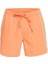 Vert 16 M Jamv Erkek Volley Short EQYJV03987 1