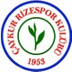Seçili Renk Yeşil