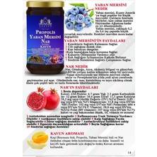Lexton Yaban Mersini Nar Katkılı Kavun Keçi Boynuzu Özü Pekmezi 640 gr