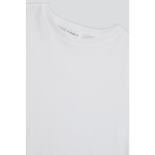 Babokah (Kids Boy) Basıc Kısa Kol T-Shırt