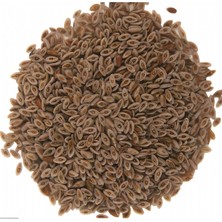 Aktar Marka Karnıyarık Otu Tohumu 250 gr