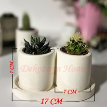 Dekozayn Home Tabaklı Kedi Köpek Kardeşliği Motifli Mini Saksı Seti(Çiçeksiz)