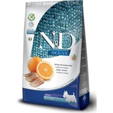 N&D Nd Ocean Balıklı Küçük Irk Tahılsız Yetişkin Köpek Maması 2.5 kg